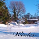 winter-titel_kl